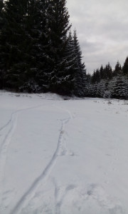 Bozi dar fatbike 005